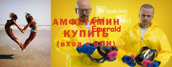 стафф Аркадак