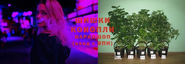 прущие крисы Арсеньев