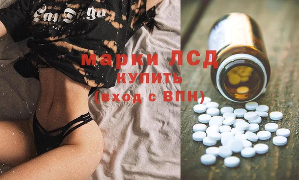 стафф Аркадак