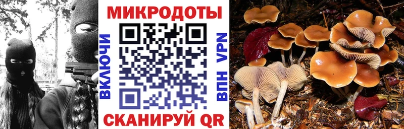 сколько стоит Харовск Галлюциногенные грибы Psilocybe